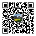 Mini Program QR Code