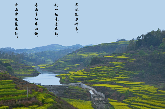 The flowers are blooming on the road. You may return slowly now. Trip.com - Tourist, Traveler, Dragon Palace Tour.