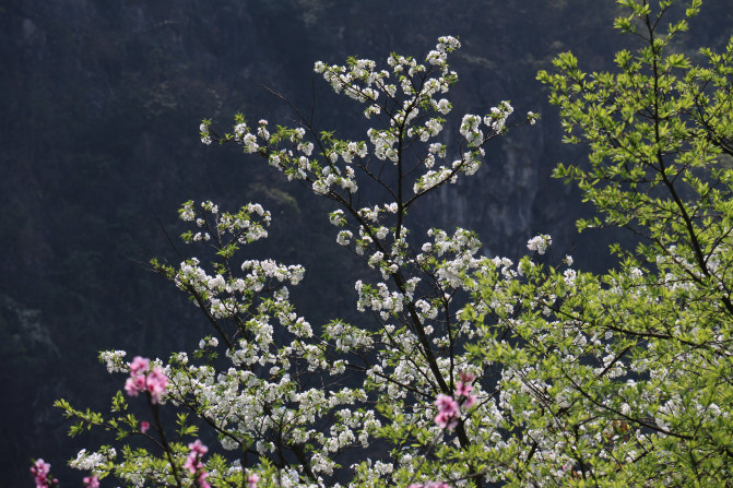 KaiCheng Shili Jin - Ctrip. Tourist Culture - Linglong Palace Tour