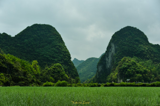 Make an appointment with the Dragon Palace